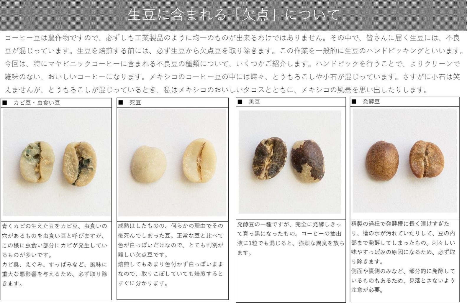 豆豆　確認 第3章 コーヒーの生豆」⑤ コーヒー生豆の見分け方 | お知らせ